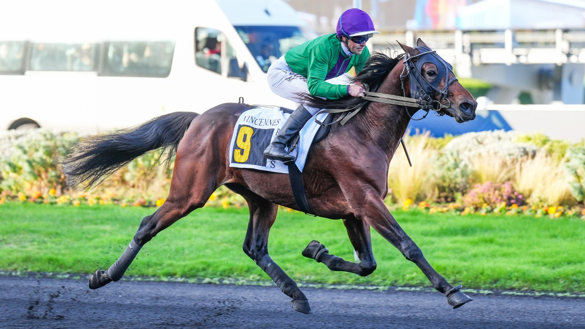 lionheart 30 11 25 692c710b042c9240691781